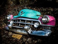 Verlaten auto (urbex)