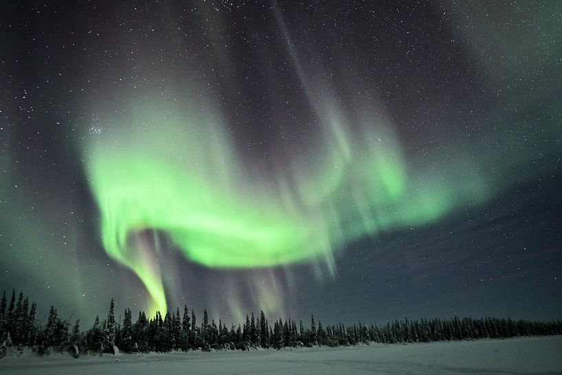 Tanzende Nordlichter von Ann Cools