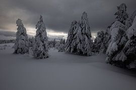 Wintertraum von Renato Joller