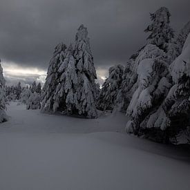 Wintertraum von Renato Joller