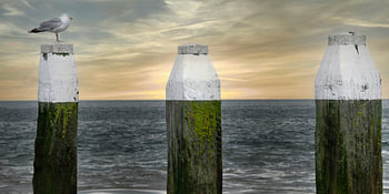 Dutch horizon