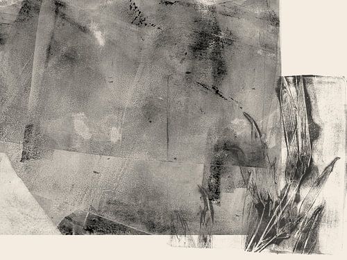 Minimalistische botanische kunst — bladeren in zwart-wit