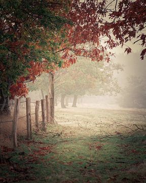 Herbstnebel auf der Molenheide (Mühle) von John Trap