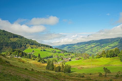 Landscape near Embach in Salzburger Land