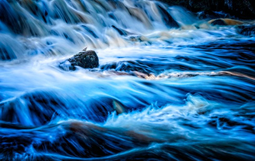 A small bird sits on a rock surrounded by rushing water. by Karl Andrén
