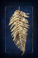 Fern