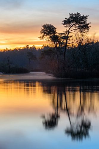 Between night and day