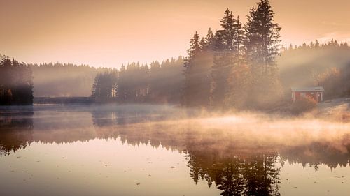 In the morning at the Ziegenberger pond