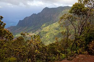 Pu’u O Kila Lookout - Kauai, Hawaii