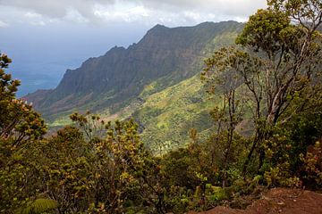 Pu'u O Kila Uitkijkpost - Kauai / Hawaii van t.ART