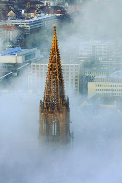 Freiburger Münsterspitze im Nebel von Patrick Lohmüller
