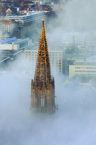 De torenspits van de kathedraal van Freiburg in de mist