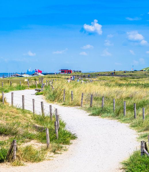 Holland beach by Mustafa Kurnaz