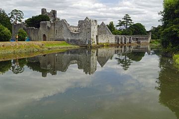 Desmond Castle ligt aan de rand van het dorp Adare