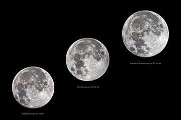 volle maan in verschillende maten van Monarch C.