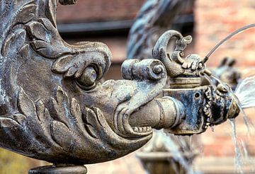 BADEN-WÜRTTEMBERG : DOLFIJNFONTEIN ULM van Photoart-Naegele