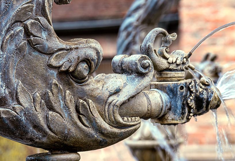 BADEN-WÜRTTEMBERG : DOLFIJNFONTEIN ULM van Photoart-Naegele