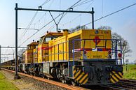 Güterzuglokomotive - Vorderansicht auf einer Bahnstrecke von Sjoerd van der Wal Fotografie Miniaturansicht