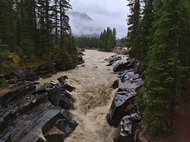 Wild Numa Falls by Timon Schneider