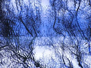 Urban Reflections 110