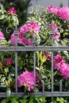 Clôture de jardin décorée