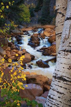 Autumn stream by Martin Podt
