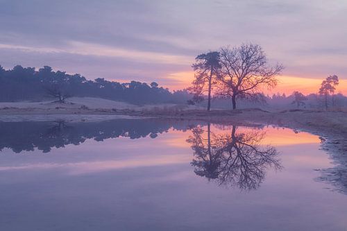 Zonsopkomst bij de Roestelberg