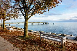 Promenade im Herbst in Sassnitz auf der Insel Rügen