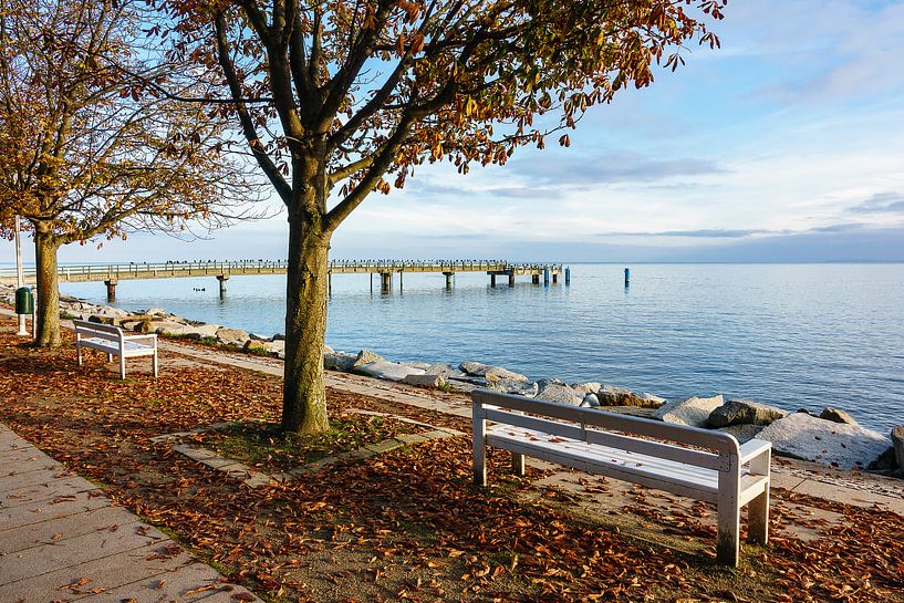 Promenade im Herbst in Sassnitz auf der Insel Rügen von Rico Ködder