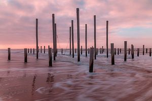 Palendorp Petten 8