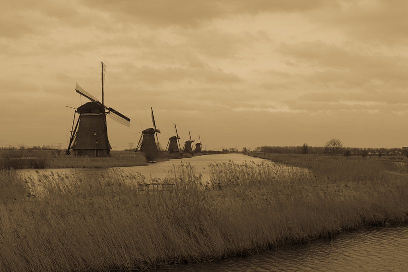 Mills Kinderdijk, landscape, Unesco by Arjan Hollebrandse