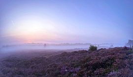 Ethereal Fields – Morning Mist van PhotoManiX Artworks