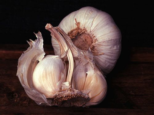 Knoblauch Knoblauch