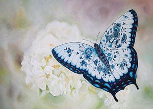 Delfter Blauer Schmetterling