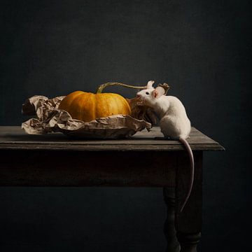 Mouse with pumpkin by Carolien van Schie