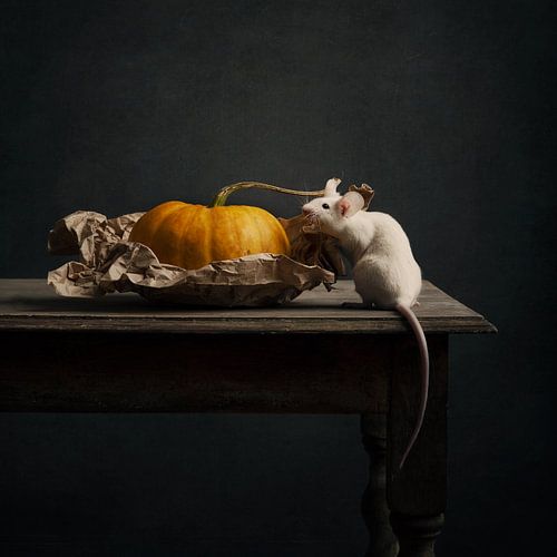 Muis met pompoen