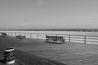 Coney Island Baby III