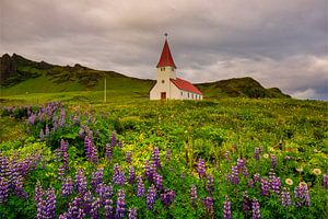 Víkurkirkja à Vik