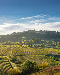 Herbstliche Weinberge und die Skyline von Montepulciano am Morgen, Toskana