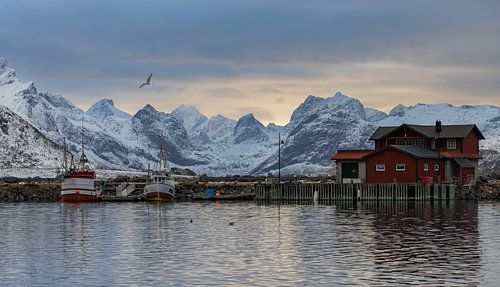 Kleine vissers haven op de Lofoten Noorwegen