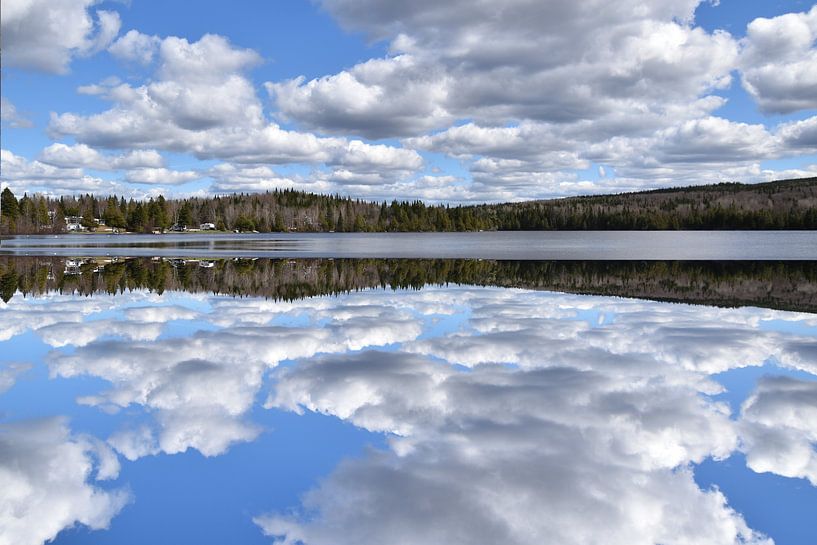Der quadratische See im Frühling von Claude Laprise