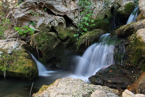 Green Oasis