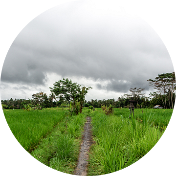 Weg tussen de velden in Bali van Mickéle Godderis