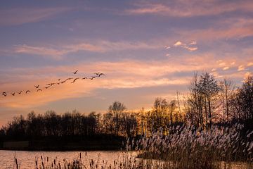 Zonsondergang met vogels. van Hennnie Keeris