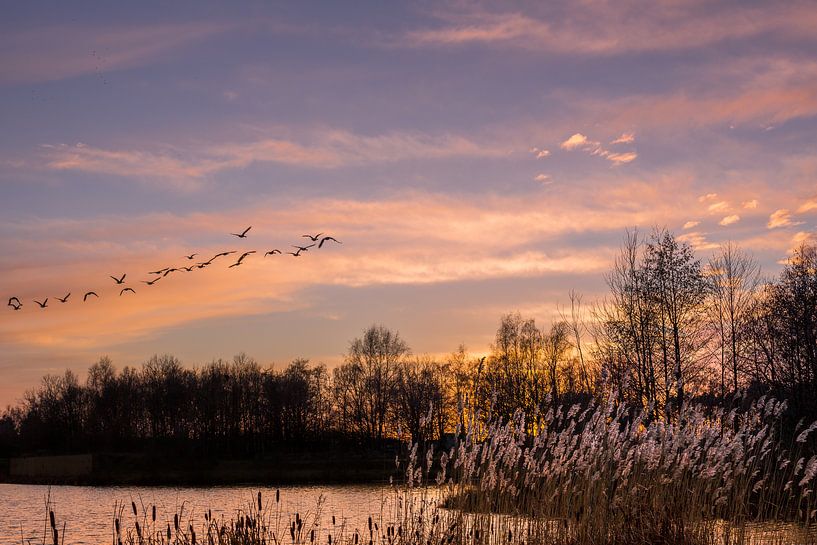 Zonsondergang met vogels. van Hennnie Keeris