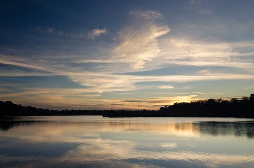 Oisterwijker Niedermoor