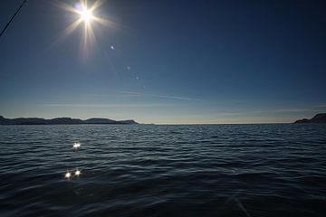 Fjord in Noorwegen met blauwe lucht van Martin Köbsch
