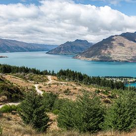Panorama with Wakatipu Lake and Queenstown New Zealand by Jelmer Laernoes
