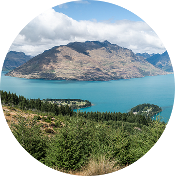 Panorama met Wakatipu meer en Queenstown Nieuw Zeeland van Jelmer Laernoes