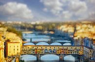 Ponte Vecchio van Lars van de Goor thumbnail